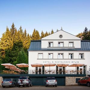 Hotel Orlik